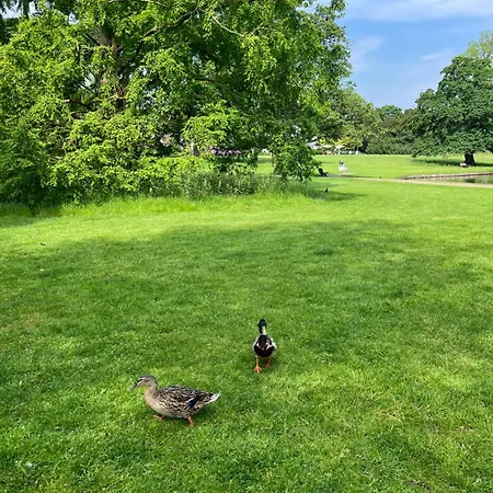 300meter Walk To Lego House-best Location-garden On Site-n18 Appartamento Billund