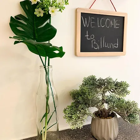 Appartamento 300meter Walk To Lego House-best Location-garden On Site-n18 *