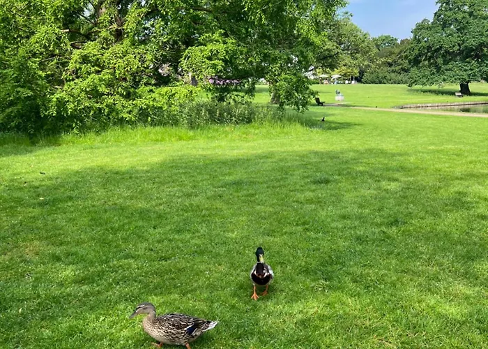 300meter Walk To Lego House-best Location-garden On Site-n18 아파트 빌룬드