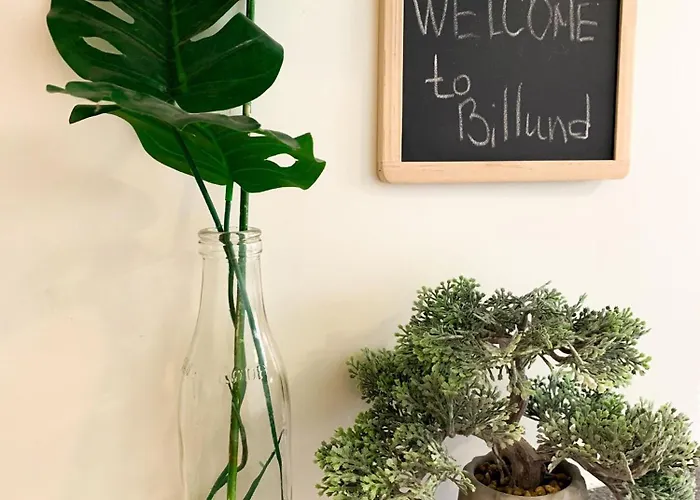 公寓 300meter Walk To Lego House-best Location-garden On Site-n18 *